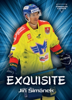 19-20 Premium Cards - Jiří ŠIMÁNEK č. EX01