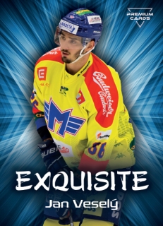 19-20 Premium Cards - Jan VESELÝ č. EX04