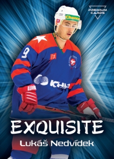 19-20 Premium Cards - Lukáš NEDVÍDEK č. EX13