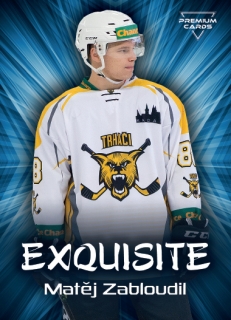 19-20 Premium Cards - Matěj ZABLOUDIL č. EX29