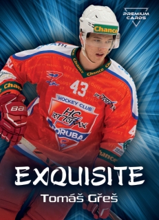 19-20 Premium Cards - Tomáš GŘEŠ č. EX31
