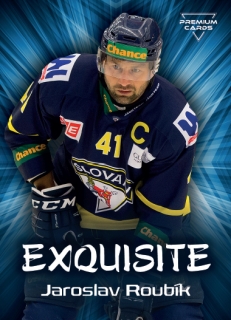19-20 Premium Cards - Jaroslav ROUBÍK č. EX39