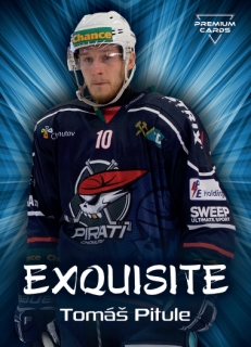 19-20 Premium Cards - Tomáš PITULE č. EX43