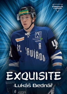 19-20 Premium Cards - Lukáš BEDNÁŘ č. EX48