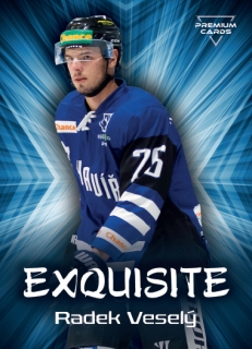 19-20 Premium Cards - Radek VESELÝ č. EX49