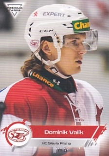 19-20 Premium Cards - Dominik VALÍK č. 409