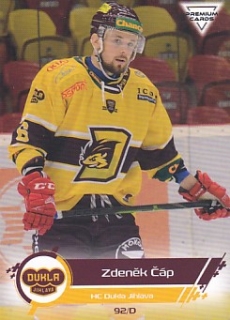 19-20 Premium Cards - Zdeněk ČÁP č. 447