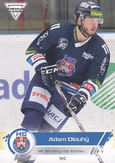 19-20 Premium Cards - Adam DLOUHÝ č. 450