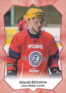 19-20 Premium Cards - David BŘEZINA č. VSE03