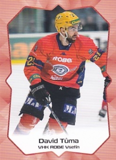 19-20 Premium Cards - David TŮMA č. VSE05