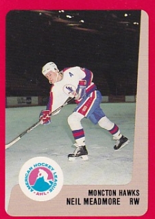 88-89 ProCards AHL/IHL - Neil MEADMORE