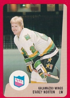 88-89 ProCards AHL/IHL - D'arcy NORTON