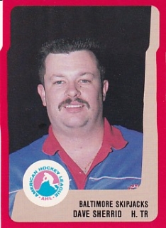 88-89 ProCards AHL/IHL - Dave SHERRID