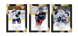 20-21 Premium Cards - HC Stadion Litoměřice set (23 karet) + podpisová karta Tomáš Král