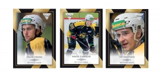 20-21 Premium Cards - SK Trhači Kadaň set (18 karet)