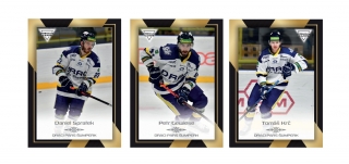 20-21 Premium Cards - DRACI PARS Šumperk set (19 karet) + podpisová karta Stanislav Dosek