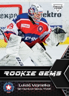20-21 Premium Cards - Lukáš VEJMELKA č. RG34