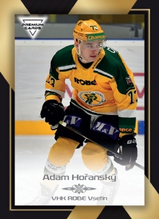20-21 Premium Cards - Adam HOŘANSKÝ č. 312