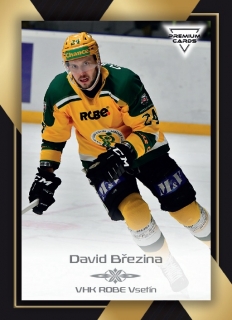 20-21 Premium Cards - David BŘEZINA č. 316