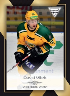 20-21 Premium Cards - David VÍTEK č. 319