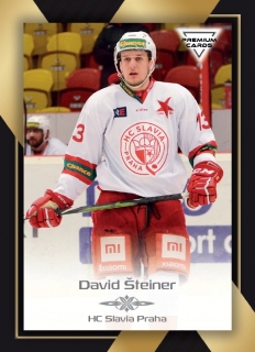 20-21 Premium Cards - David ŠTEINER č. 30