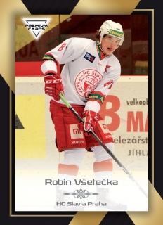 20-21 Premium Cards - Robin VŠETEČKA č. 46