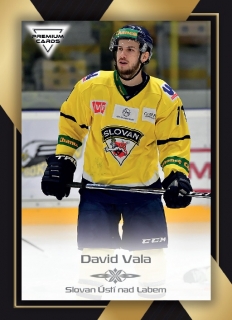 20-21 Premium Cards - David VALA č. 55