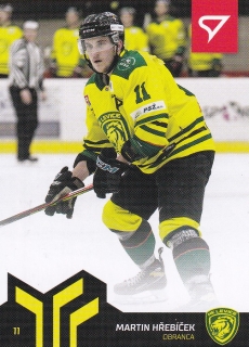 20-21 SHL SportZoo - Martin HŘEBÍČEK č. 113