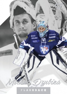 20-21 Tipos Extraliga - Michal DZUBINA č. FB-01