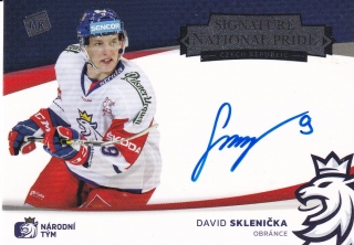 2021 CIHT - David SKLENIČKA č. NPS-DS 10/38