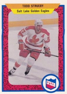 91-92 ProCards - Todd STRUEBY č. 585