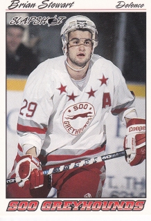 95-96 Slapshot OHL - Brian STEWART č. 376