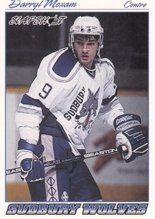 95-96 Slapshot OHL - Darryl MOXAM č. 390