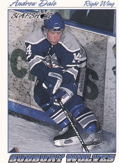 95-96 Slapshot OHL - Andrew DALE č. 394