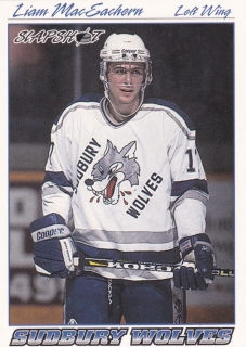 95-96 Slapshot OHL - Liam MacEACHERN č. 397
