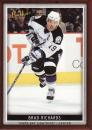 06-07 Bee Hive - Brad RICHARDS č. 10