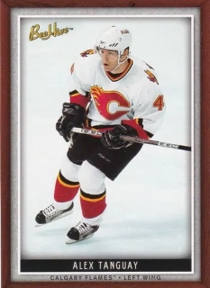 06-07 Bee Hive - Alex TANGUAY č. 87