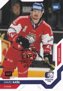 2022 CIHT - David KAŠE č. 7 GOLD EXPO 1/1
