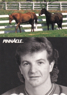 91-92 Pinnacle - Al MacINNIS č. 399