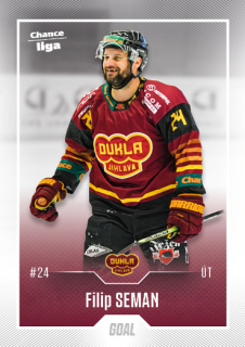 22-23 GOAL Cards - Filip SEMAN č. 9