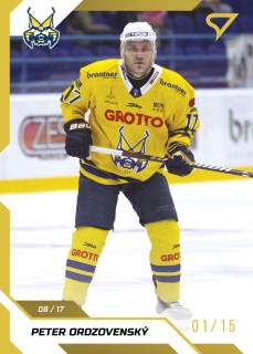 22-23 Tipos Extraliga - Peter ORDZOVENSKÝ č. 148 GOLD x/19