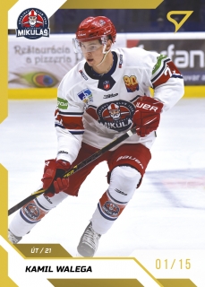 22-23 Tipos Extraliga - Kamil WALEGA č. 216 GOLD x/19