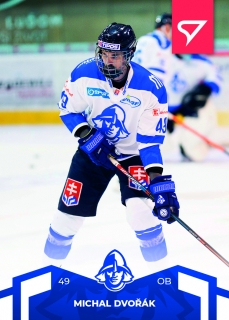 22-23 Tipos SHL - Michal DVOŘÁK č. 33