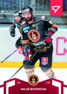 22-23 Tipos SHL - Miloš BYSTRIČAN č. 60