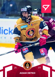 22-23 Tipos SHL - Adam DETKO č. 64