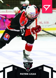 22-23 Tipos SHL - Patrik LIGAS č. 89