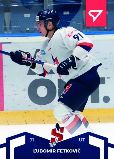 22-23 Tipos SHL - Ľubomír FETKOVIČ č. 124