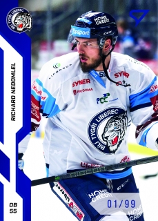 22-23 Tipsport Extraliga - Richard NEDOMLEL č. 304 BLUE x/99
