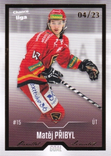 22-23 GOAL Cards - Matěj PŘIBYL č. 430 GOLD x/23