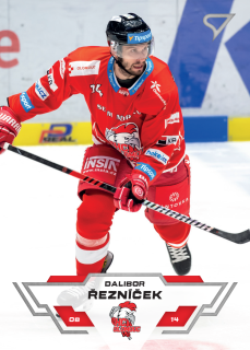 23-24 TELH - Dalibor ŘEZNÍČEK č. 132
